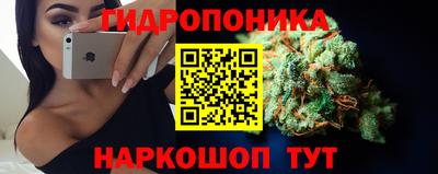 гашик Гусев