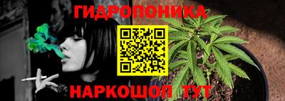 дмт Гусь-Хрустальный