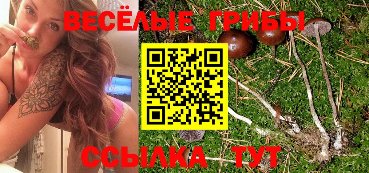 Галлюциногенные грибы прущие грибы  Вход с VPN  Надым 