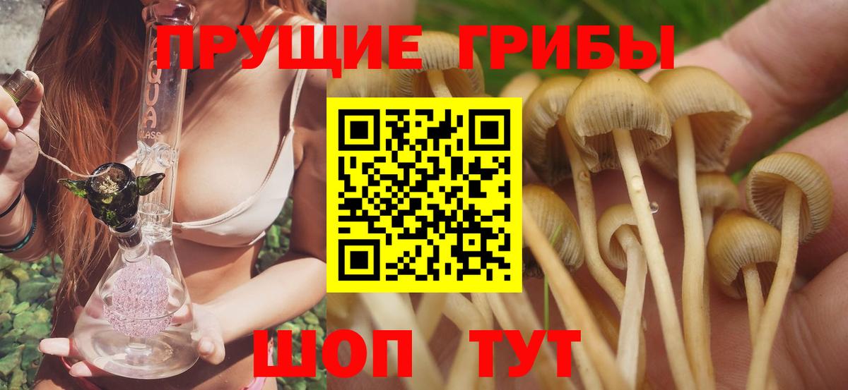 Псилоцибиновые грибы мицелий Надым